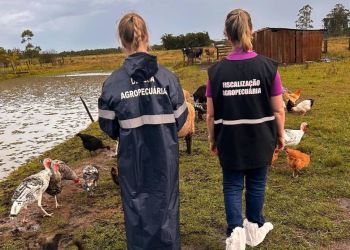 1747863348682e4734d3446_1747863348_3x2_lg