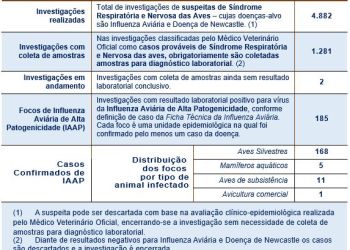 202501020_MundoAgro_AviSite_3