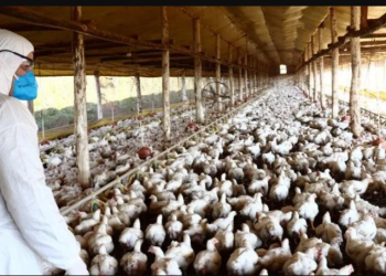 image_2025_01_23T13_11_05_720Z