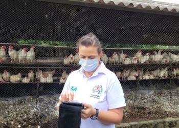 acao-do-ima-em-granja-5-1024x576.