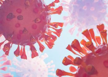 Untitled-design-3-1536x1024-1.