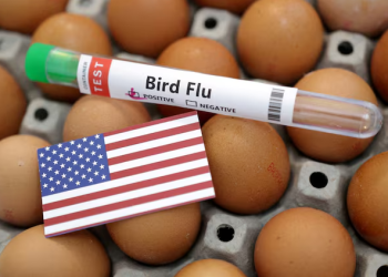 Captura-de-tela-2025-04-01-171746